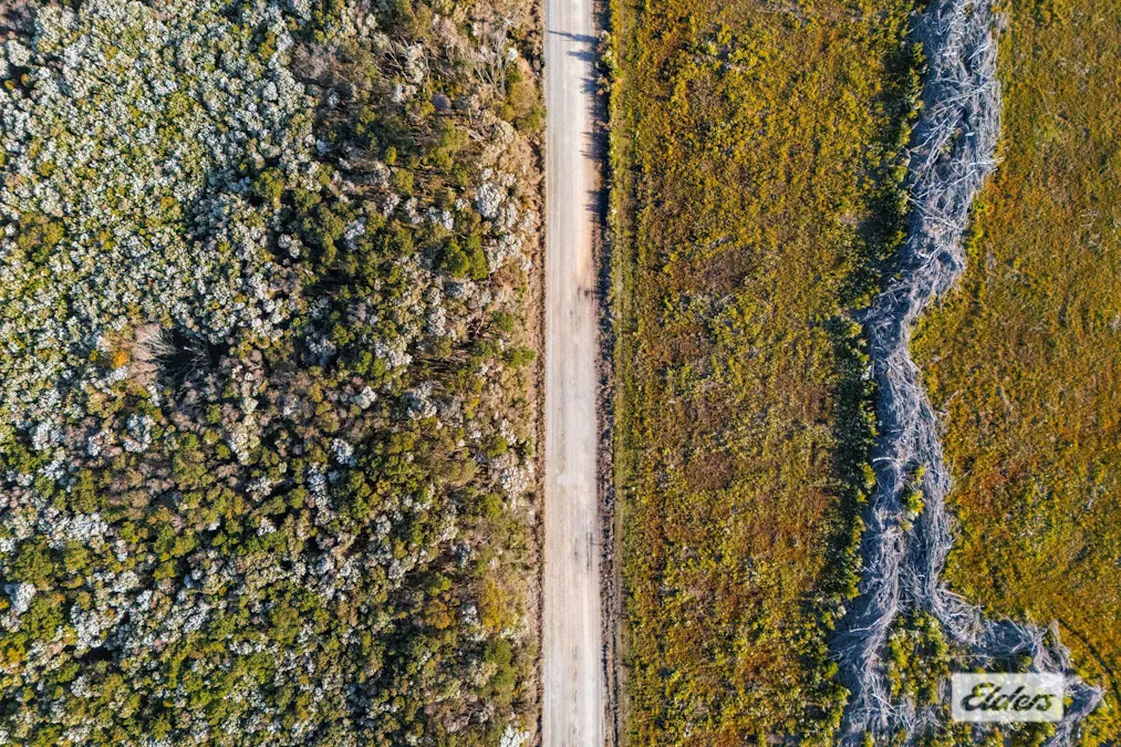 Sea Elephant Road, Sea Elephant, TAS, 7256 - Image 11