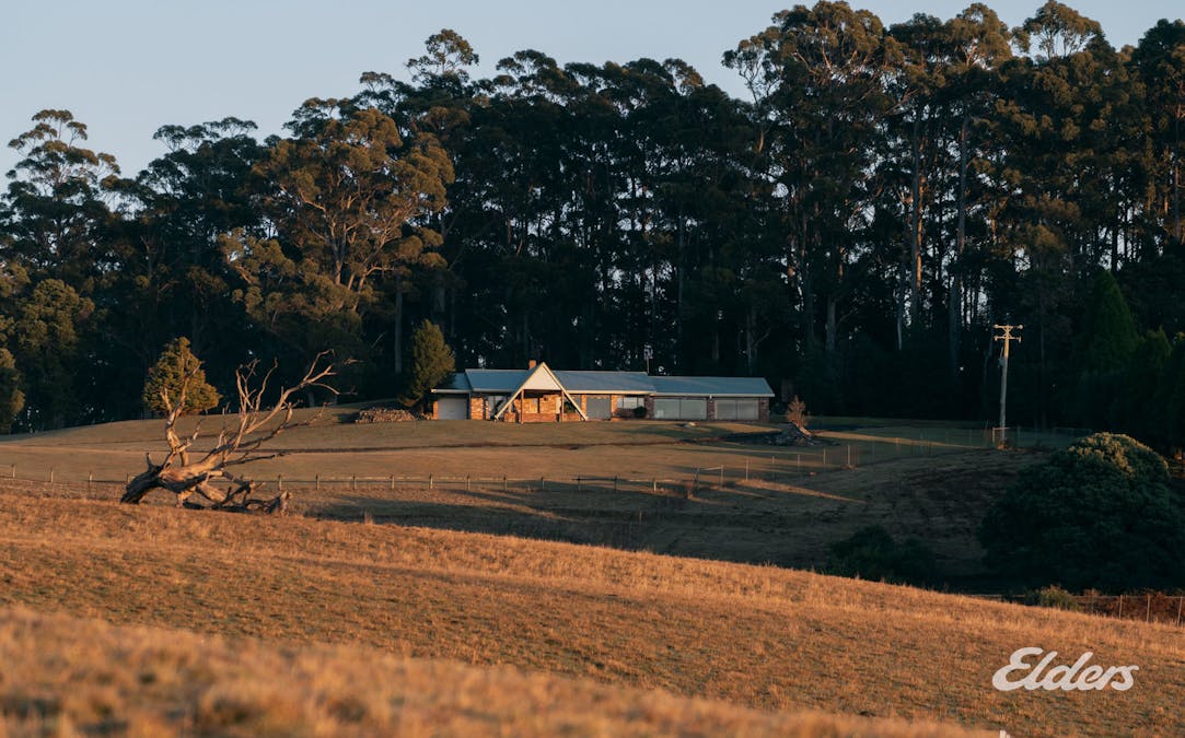 508 Loyetea Road, Loyetea, TAS, 7316 - Image 16