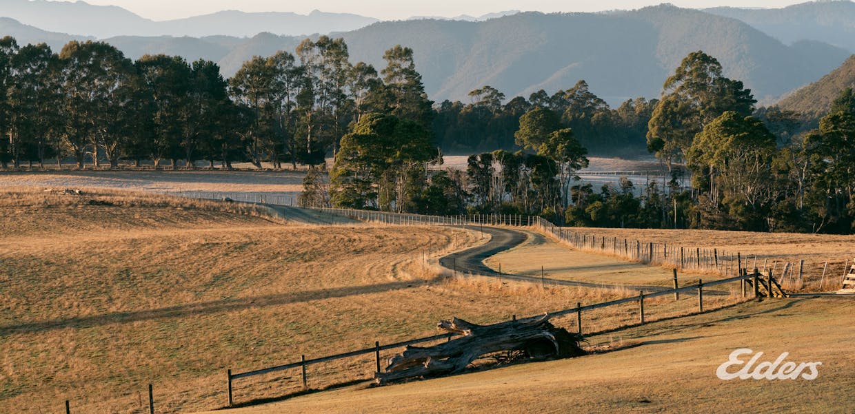 508 Loyetea Road, Loyetea, TAS, 7316 - Image 19