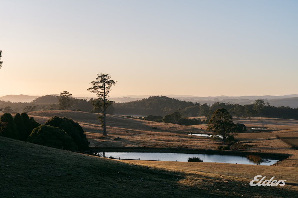 508 Loyetea Road, Loyetea, TAS, 7316 - Image 21