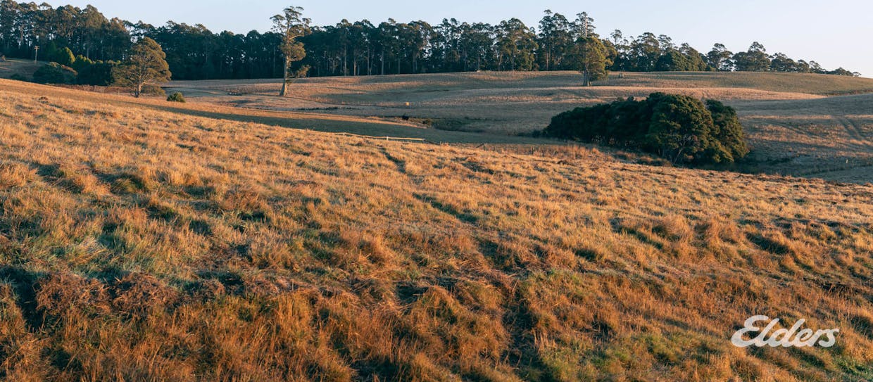 508 Loyetea Road, Loyetea, TAS, 7316 - Image 18