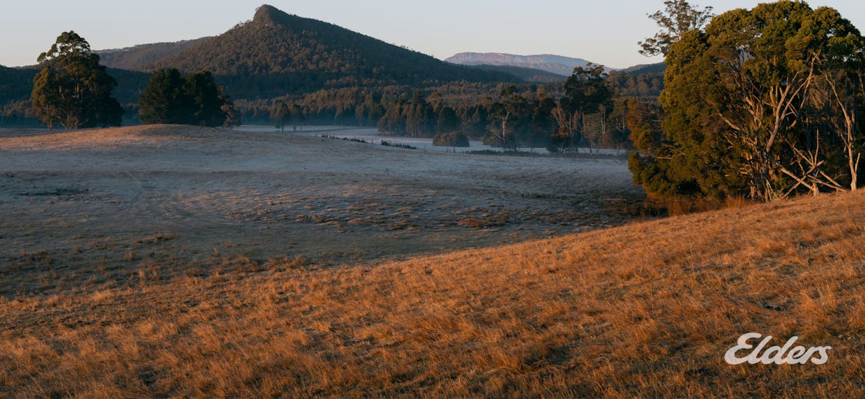 508 Loyetea Road, Loyetea, TAS, 7316 - Image 17