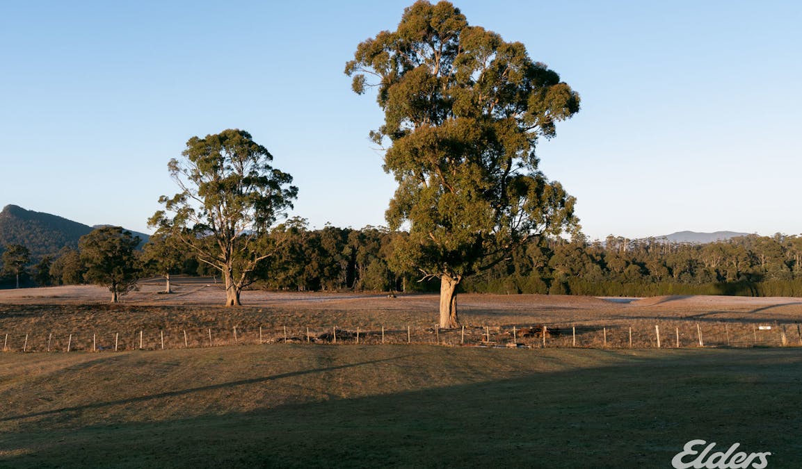 508 Loyetea Road, Loyetea, TAS, 7316 - Image 20