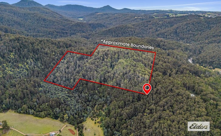 Bannons Bridge Road, Gunns Plains, TAS, 7315 - Image 1