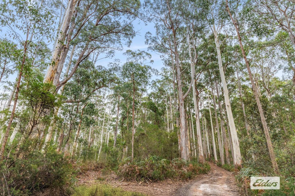 Bannons Bridge Road, Gunns Plains, TAS, 7315 - Image 3
