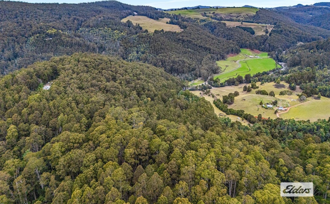 Bannons Bridge Road, Gunns Plains, TAS, 7315 - Image 8