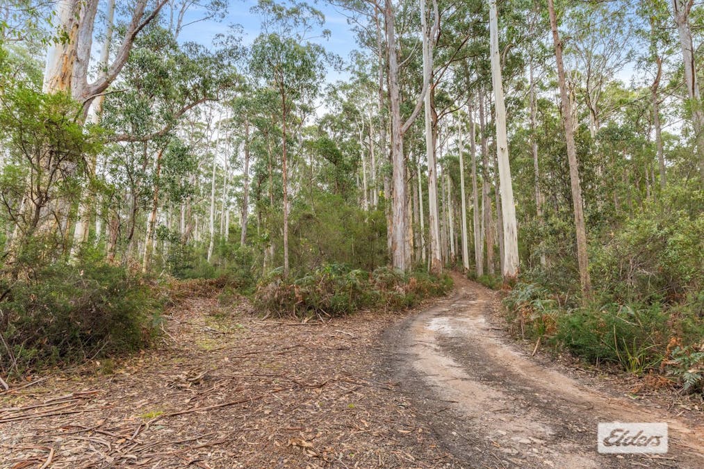 Bannons Bridge Road, Gunns Plains, TAS, 7315 - Image 2