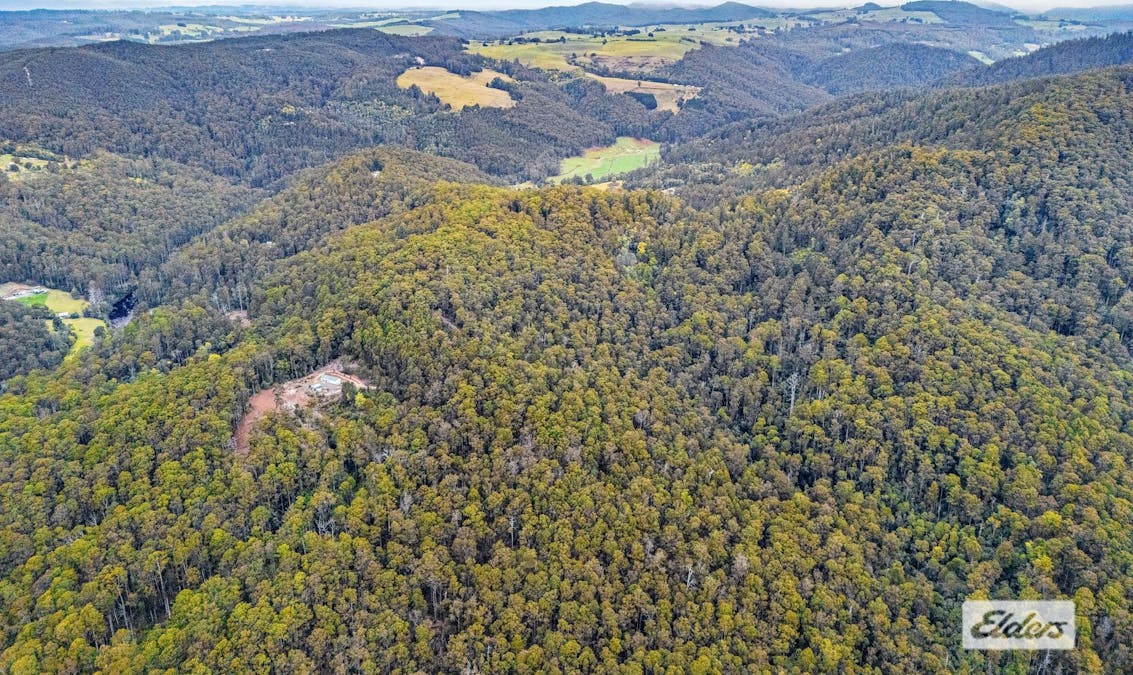 Bannons Bridge Road, Gunns Plains, TAS, 7315 - Image 9