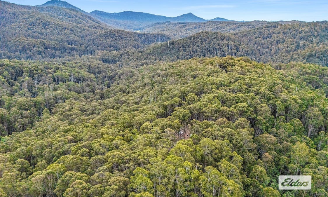 Bannons Bridge Road, Gunns Plains, TAS, 7315 - Image 6