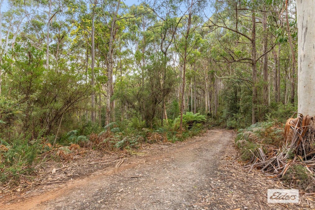 Bannons Bridge Road, Gunns Plains, TAS, 7315 - Image 4
