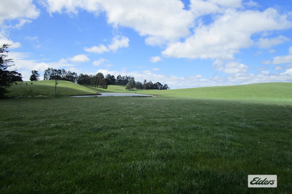 65 Preston-Castra Road, Preston, TAS, 7315 - Image 4