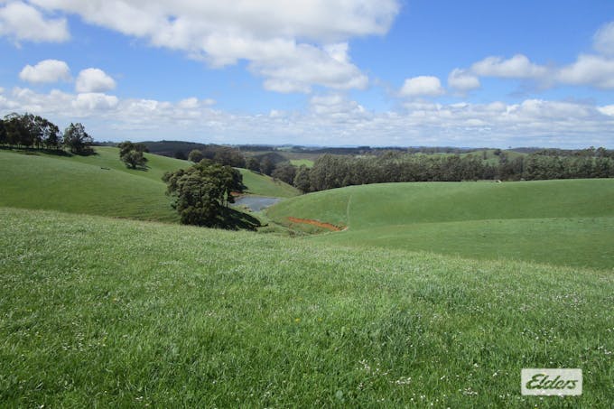 65 Preston-Castra Road, Preston, TAS, 7315 - Image 1