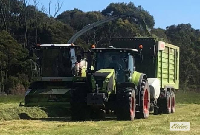 Address upon request - Image 1