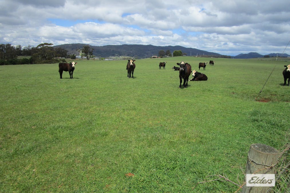 921 Melrose Road, Melrose, TAS, 7310 - Image 1
