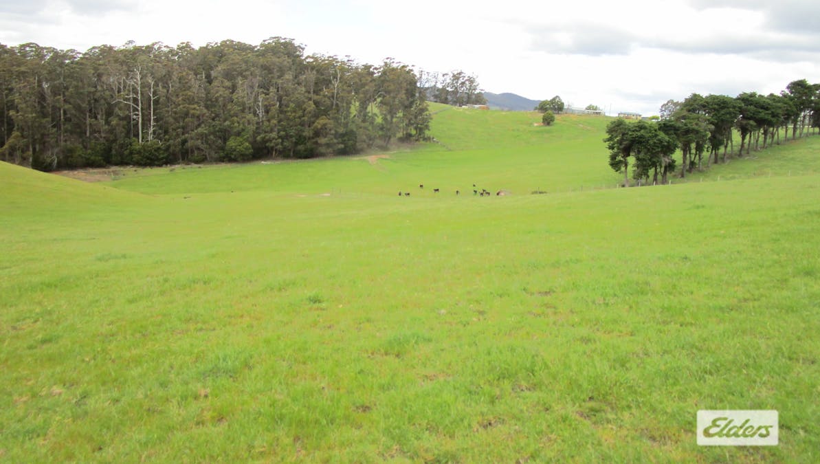 921 Melrose Road, Melrose, TAS, 7310 - Image 5