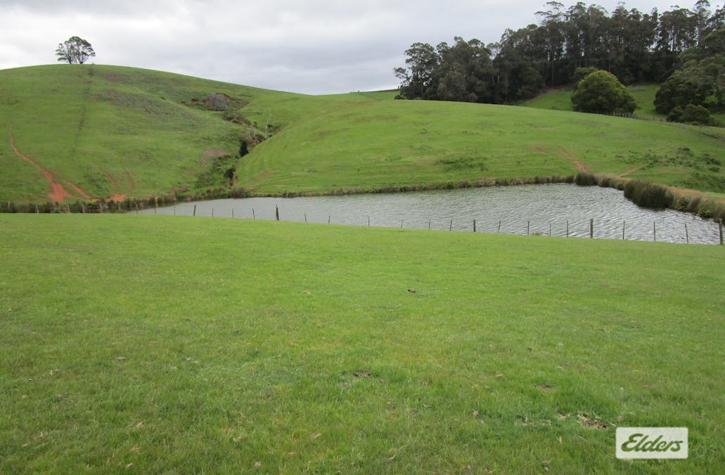 921 Melrose Road, Melrose, TAS, 7310 - Image 3