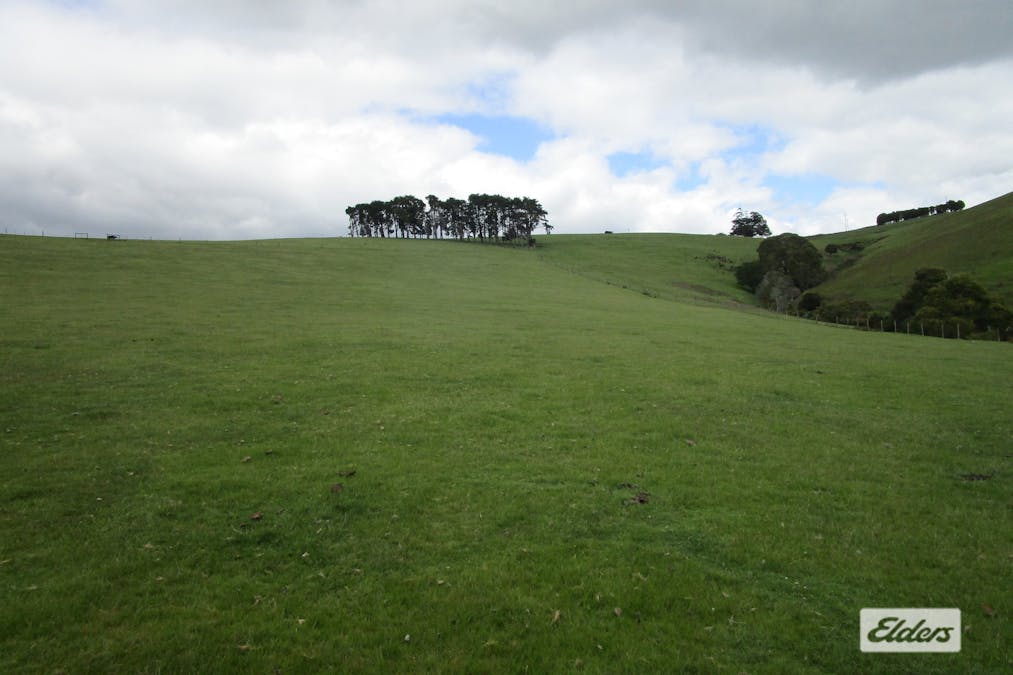 921 Melrose Road, Melrose, TAS, 7310 - Image 6