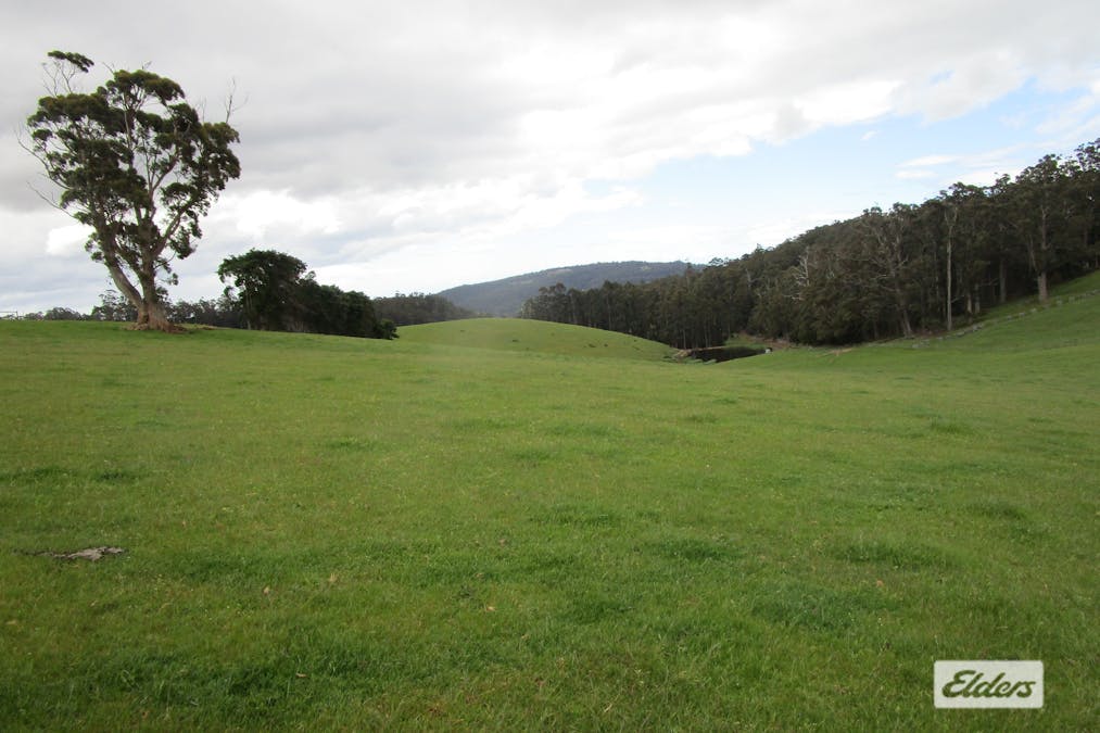 921 Melrose Road, Melrose, TAS, 7310 - Image 7
