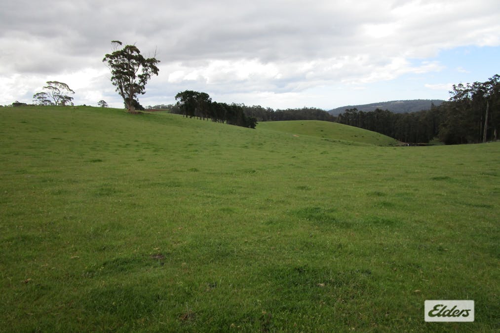 921 Melrose Road, Melrose, TAS, 7310 - Image 8