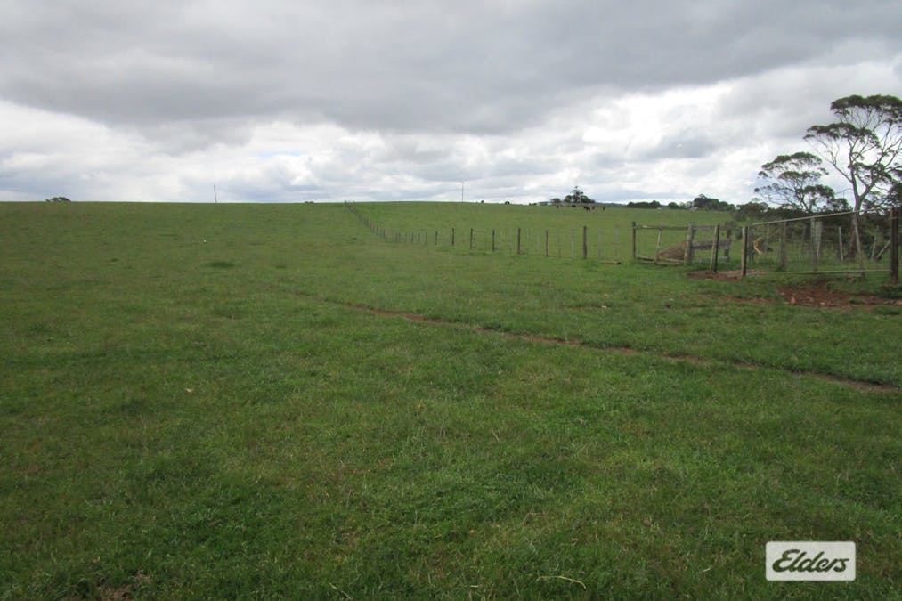 921 Melrose Road, Melrose, TAS, 7310 - Image 9