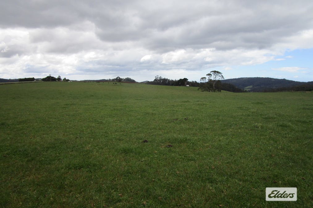 921 Melrose Road, Melrose, TAS, 7310 - Image 10