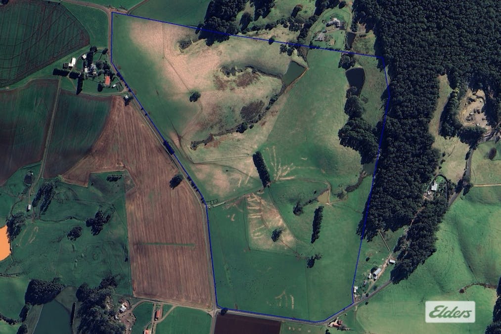 921 Melrose Road, Melrose, TAS, 7310 - Image 12