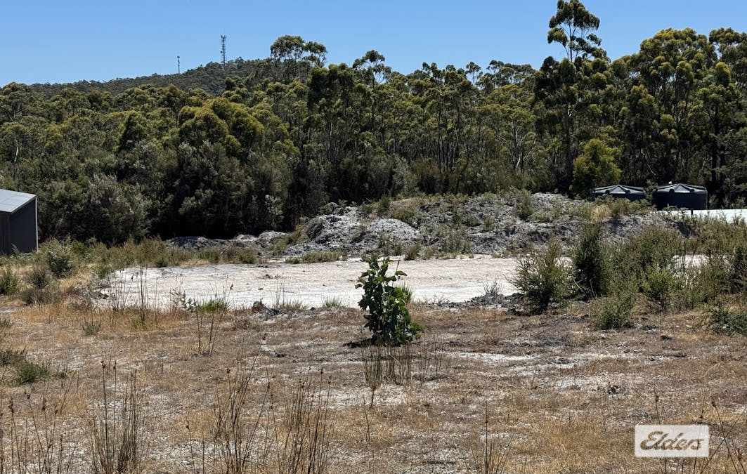 11 Bissett Place, Heybridge, TAS, 7316 - Image 1