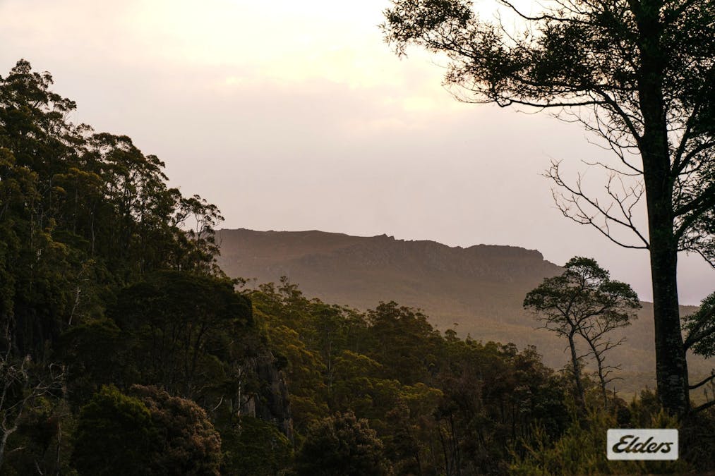 1519 Loongana Road, Loongana, TAS, 7315 - Image 22