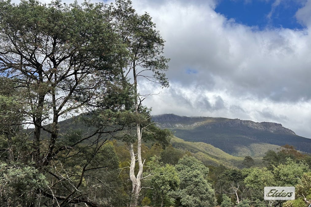 1519 Loongana Road, Loongana, TAS, 7315 - Image 25