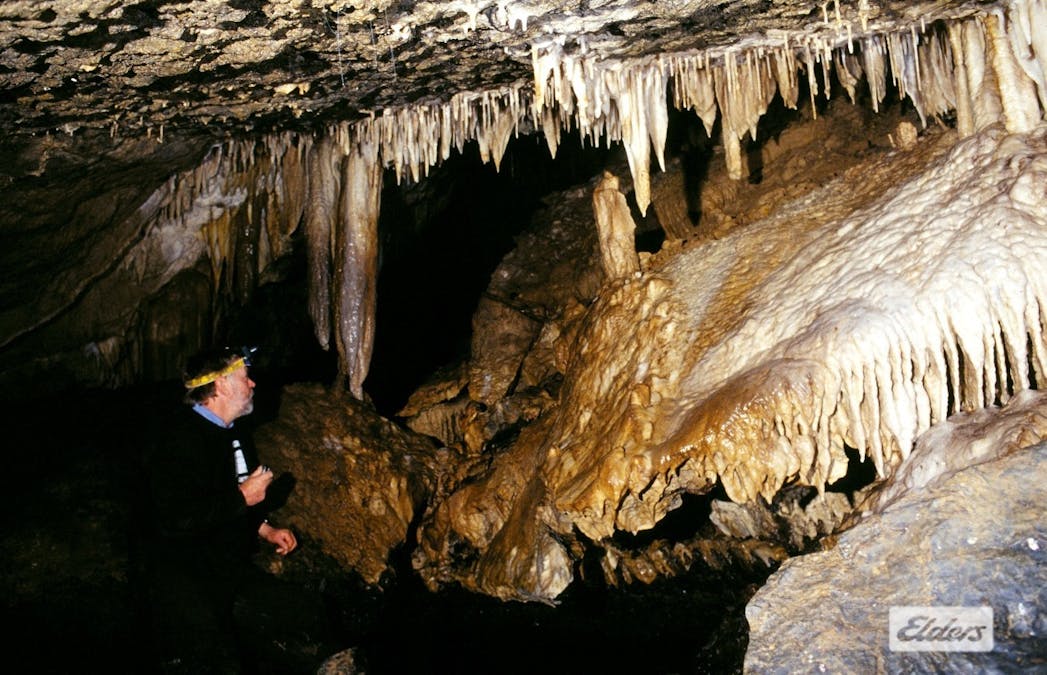 1519 Loongana Road, Loongana, TAS, 7315 - Image 23