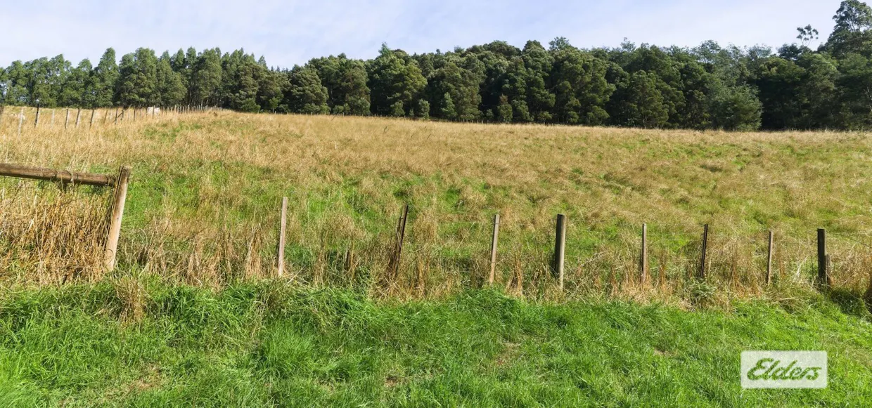 350 Lobster Creek Road, Ulverstone, TAS, 7315 - Image 14