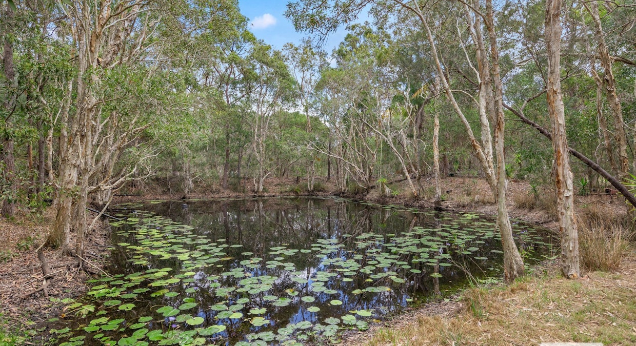 22 Ti Tree Road West, Booral, QLD, 4655 - Image 23