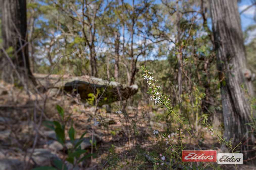 250 Wombat Road, Lakesland, NSW, 2572 - Image 9
