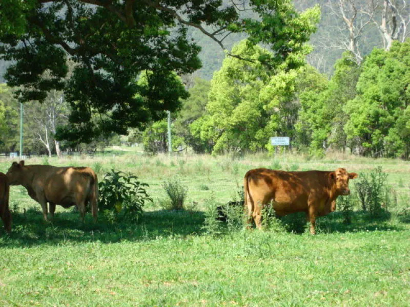 415/ Mount Kilcoy Road, Mount Kilcoy, QLD, 4515 - Image 7