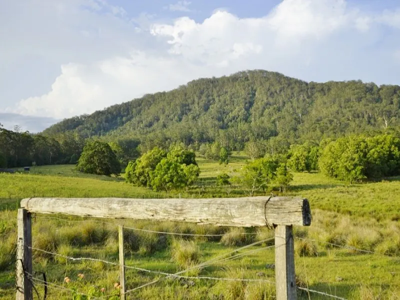81 Heath Road, Woodford, QLD, 4514 - Image 2