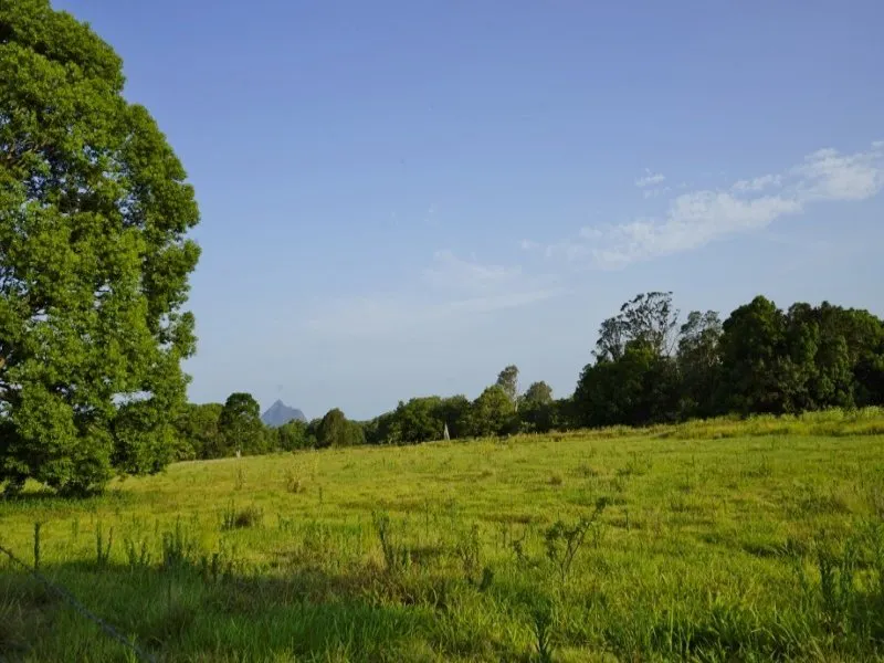 81 Heath Road, Woodford, QLD, 4514 - Image 3