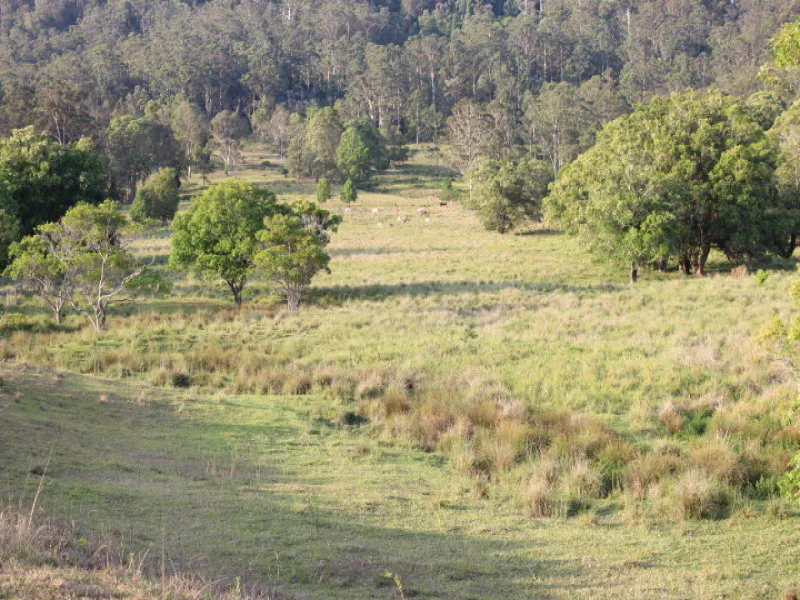 81 Heath Road, Woodford, QLD, 4514 - Image 25