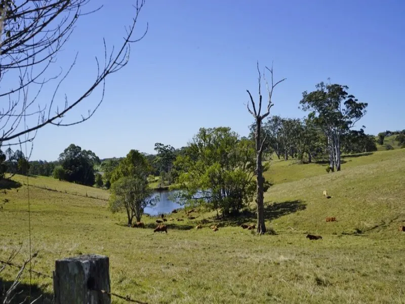90 Robinson Road, Mount Mee, QLD, 4521 - Image 3