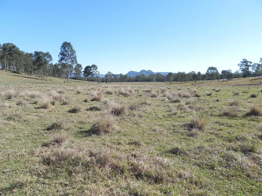 Sandy Creek, QLD, 4515 - Image 3