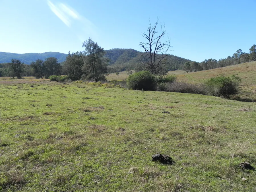Sandy Creek, QLD, 4515 - Image 5