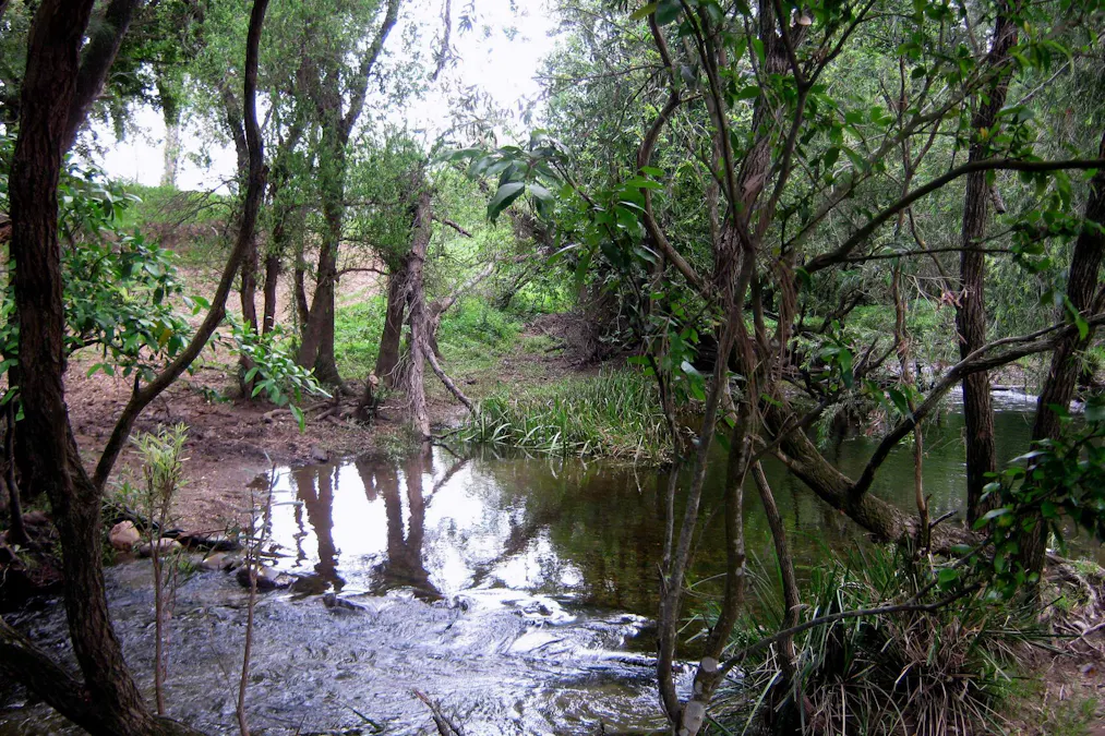 705 Kilcoy Murgon Road, Sheep Station Creek, QLD, 4515 - Image 15
