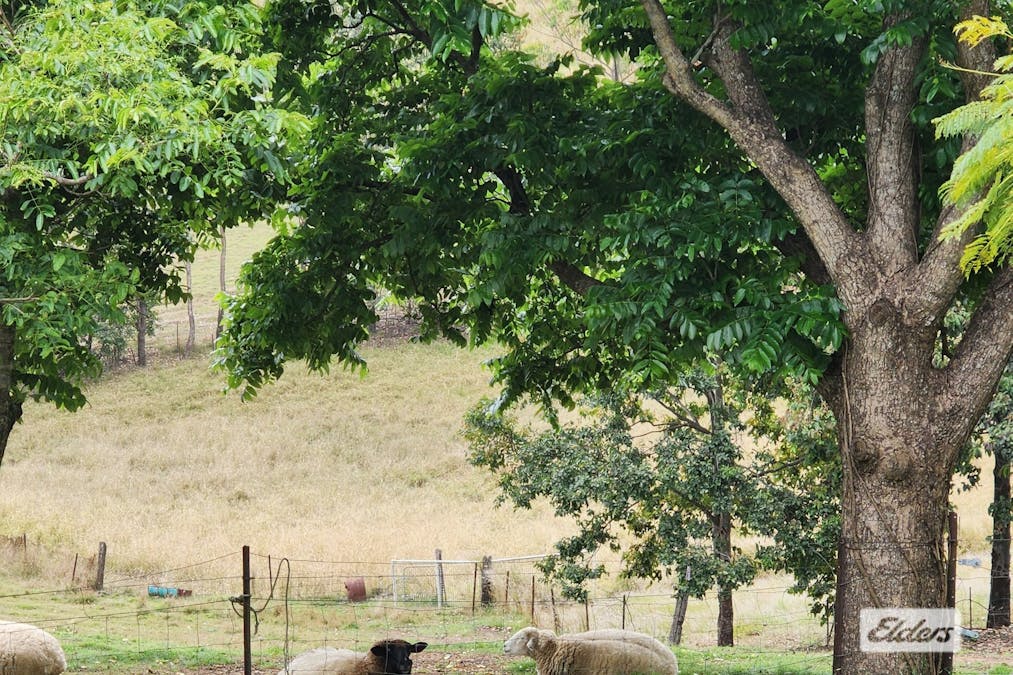 4148 Daguilar Highway, Royston, QLD, 4515 - Image 7