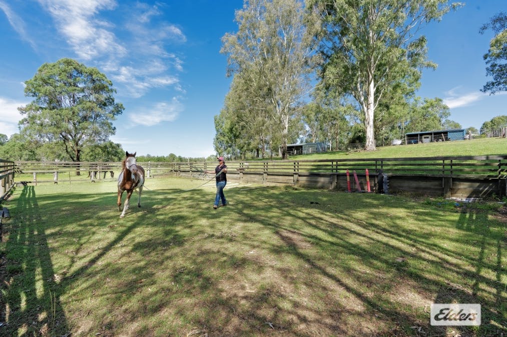 50 Darryl Court, Royston, QLD, 4515 - Image 6