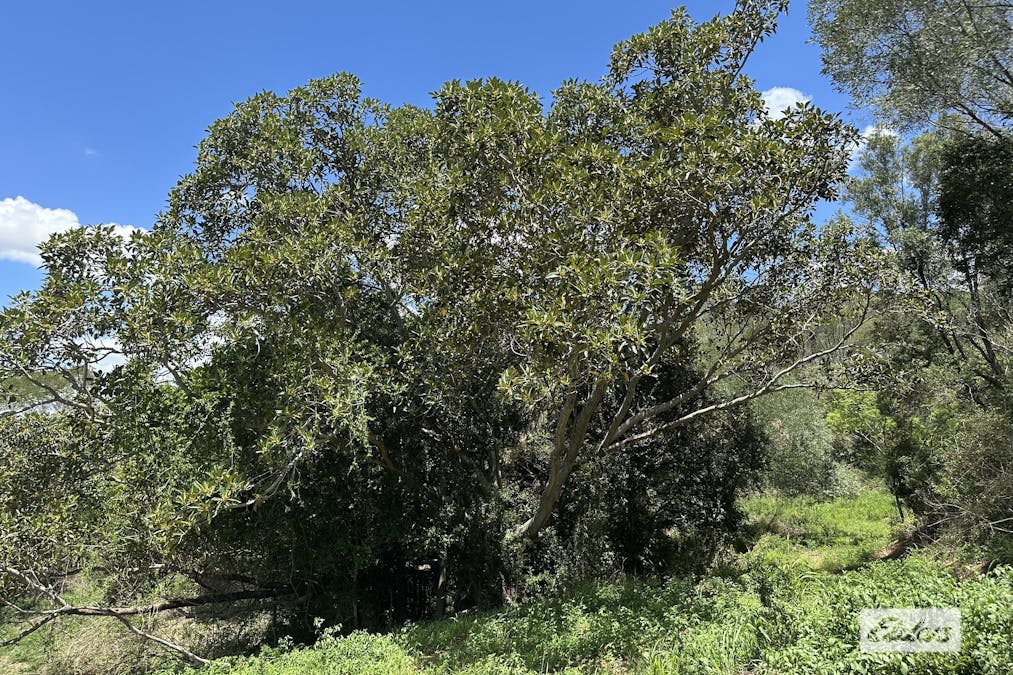 146 Axelsen Drive, Villeneuve, QLD, 4514 - Image 25