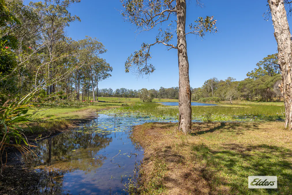 41-87  Wiersma Road, Wamuran, QLD, 4512 - Image 16