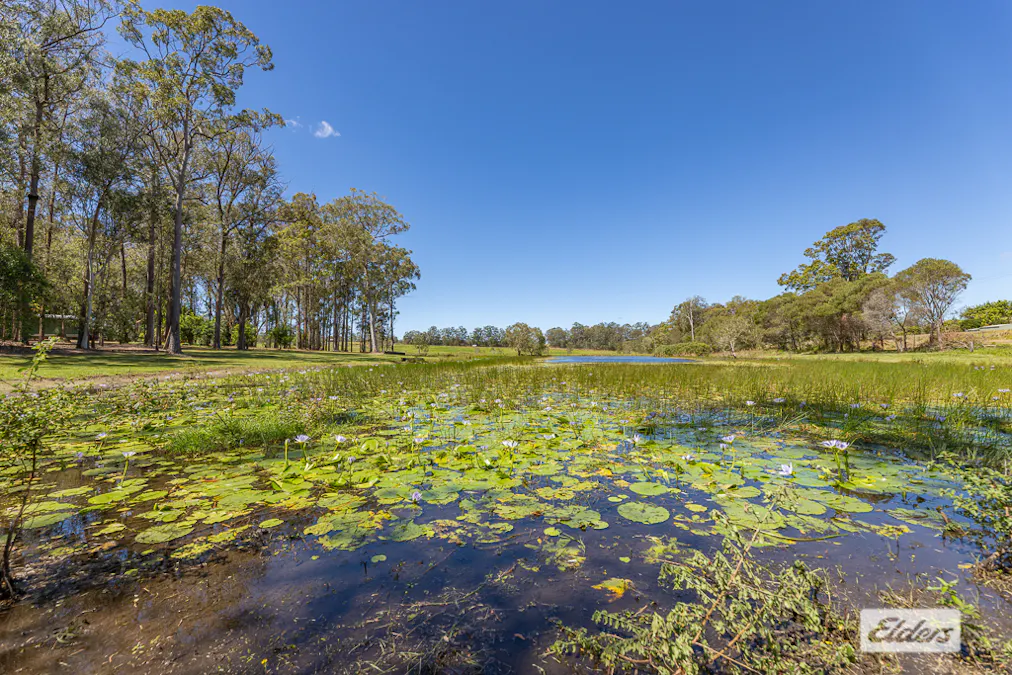 41-87  Wiersma Road, Wamuran, QLD, 4512 - Image 20