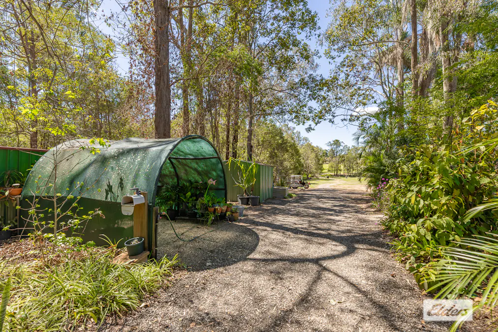41-87  Wiersma Road, Wamuran, QLD, 4512 - Image 13