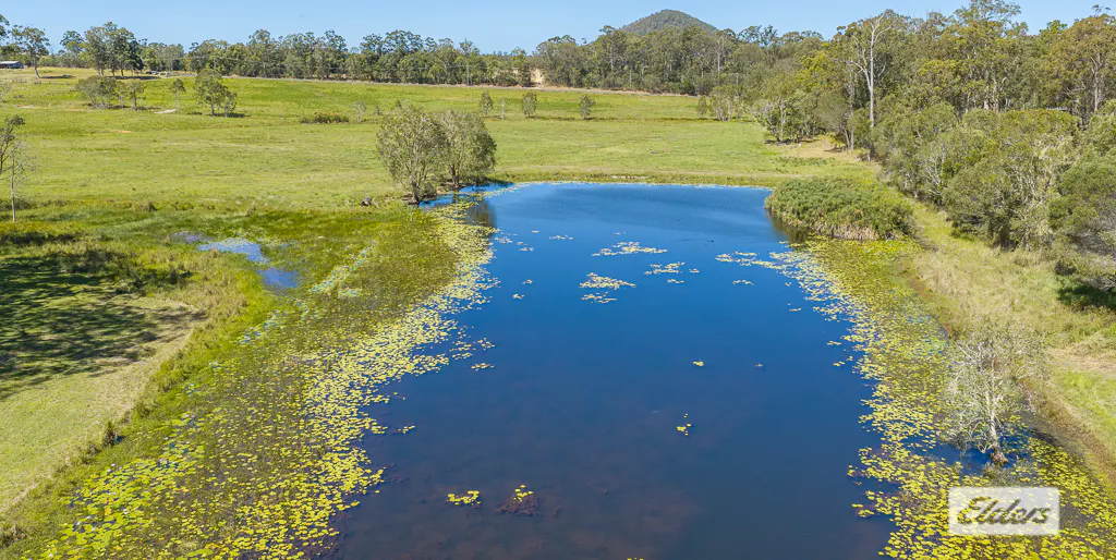 41-87  Wiersma Road, Wamuran, QLD, 4512 - Image 21