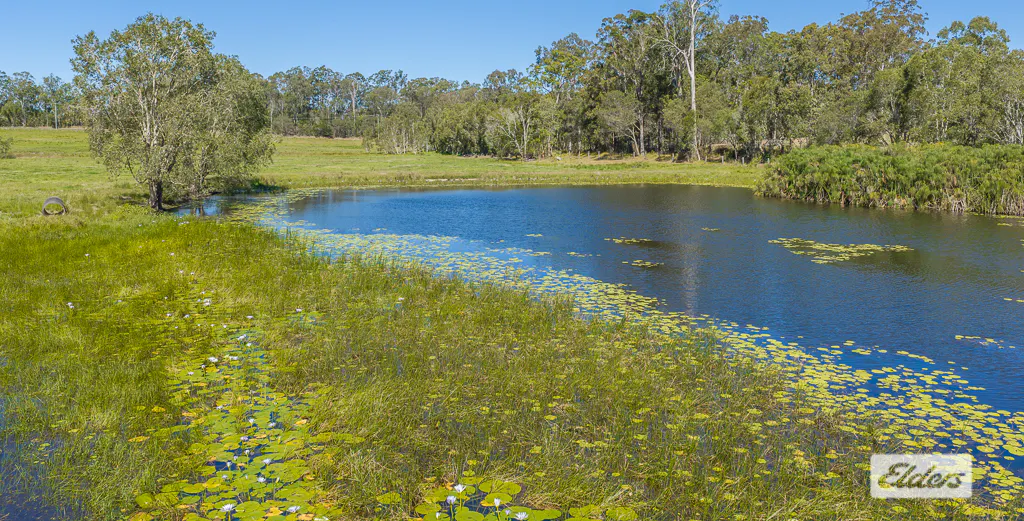 41-87  Wiersma Road, Wamuran, QLD, 4512 - Image 19