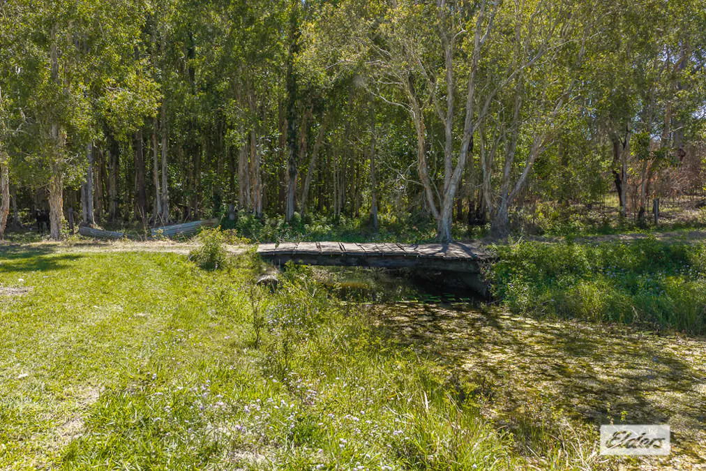 41-87  Wiersma Road, Wamuran, QLD, 4512 - Image 25